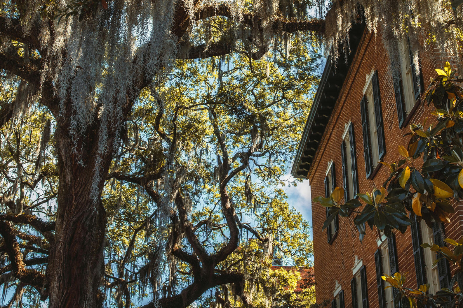 southeast
